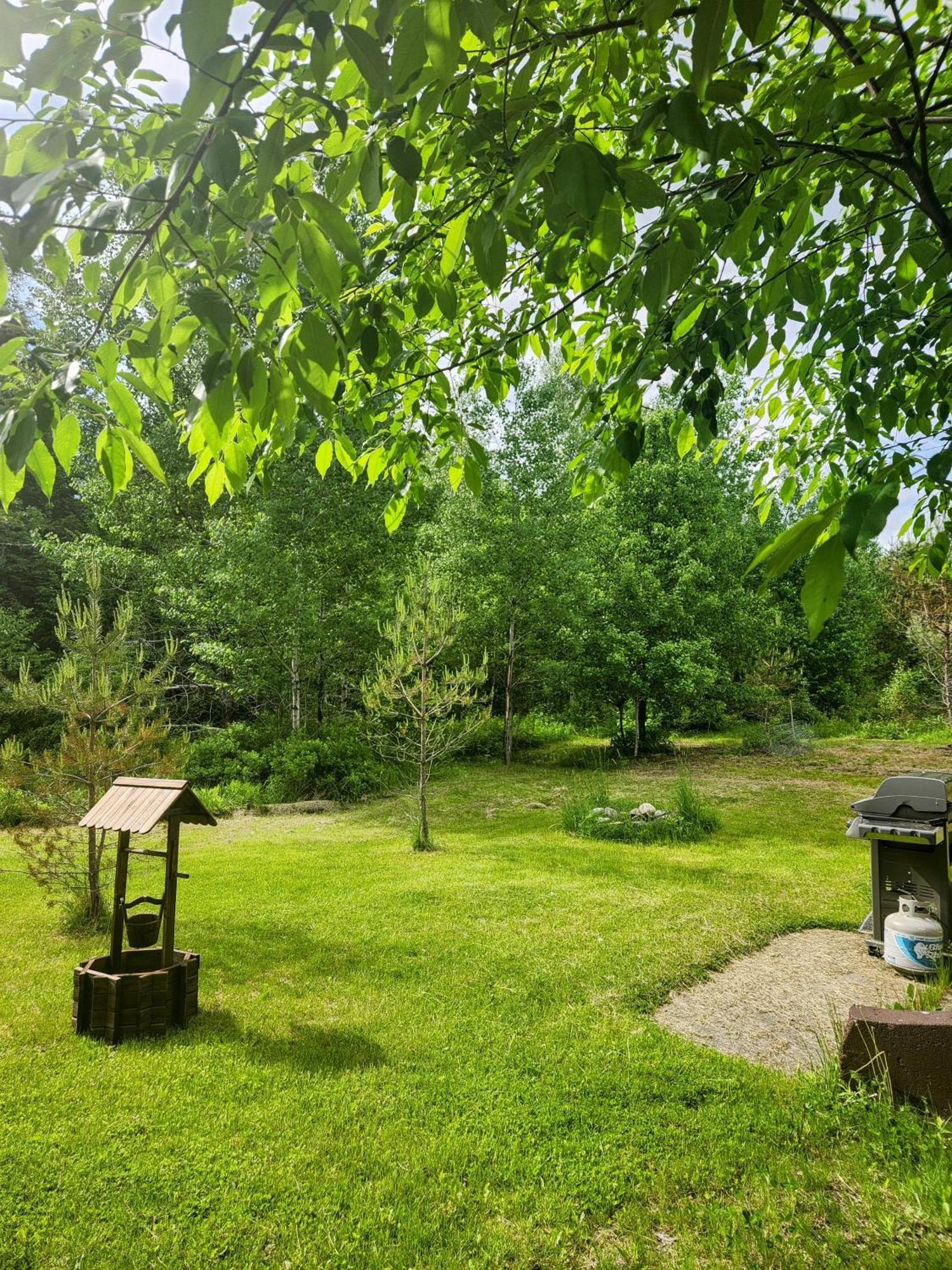 Backyard Bliss In The White Mountains Villa Lincoln Kültér fotó